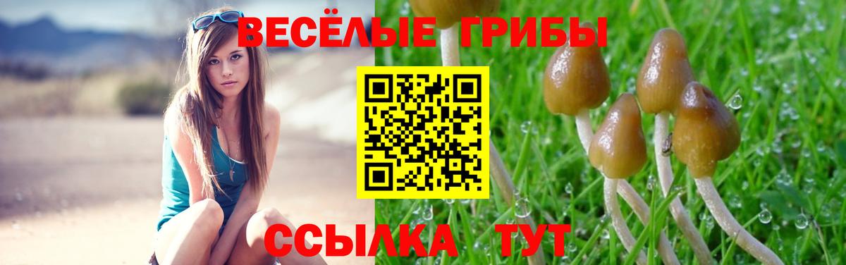 Галлюциногенные грибы MAGIC MUSHROOMS Мариинск